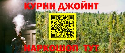 гашик Дубна