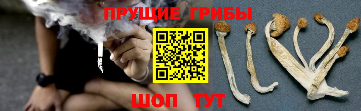 Псилоцибиновые грибы Magic Shrooms  Вход с VPN  Псилоцибиновые грибы мухоморы  Нижнеудинск 
